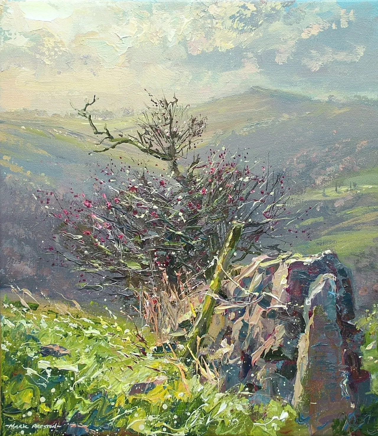 Mark Preston - december sunlight, wetton